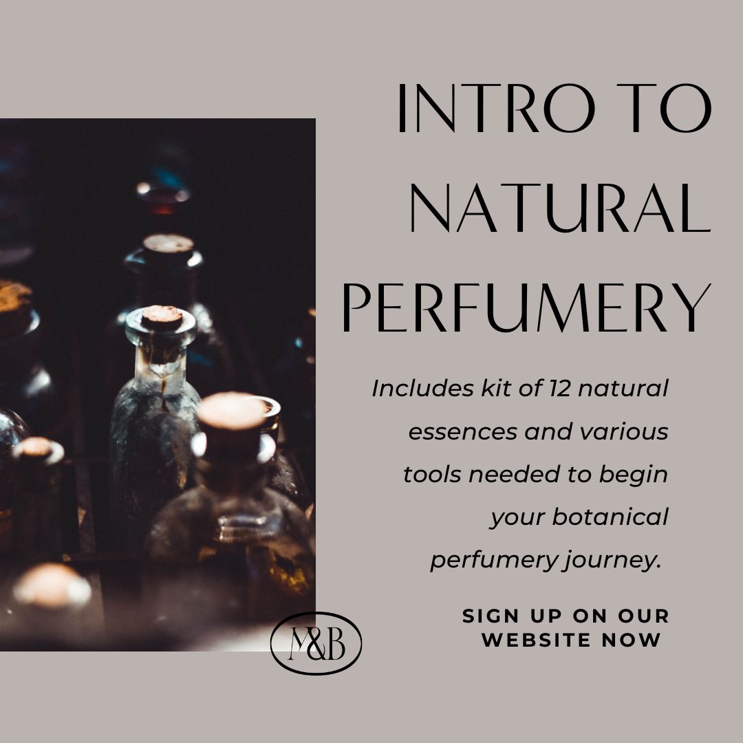 Classes & Perfume Materials