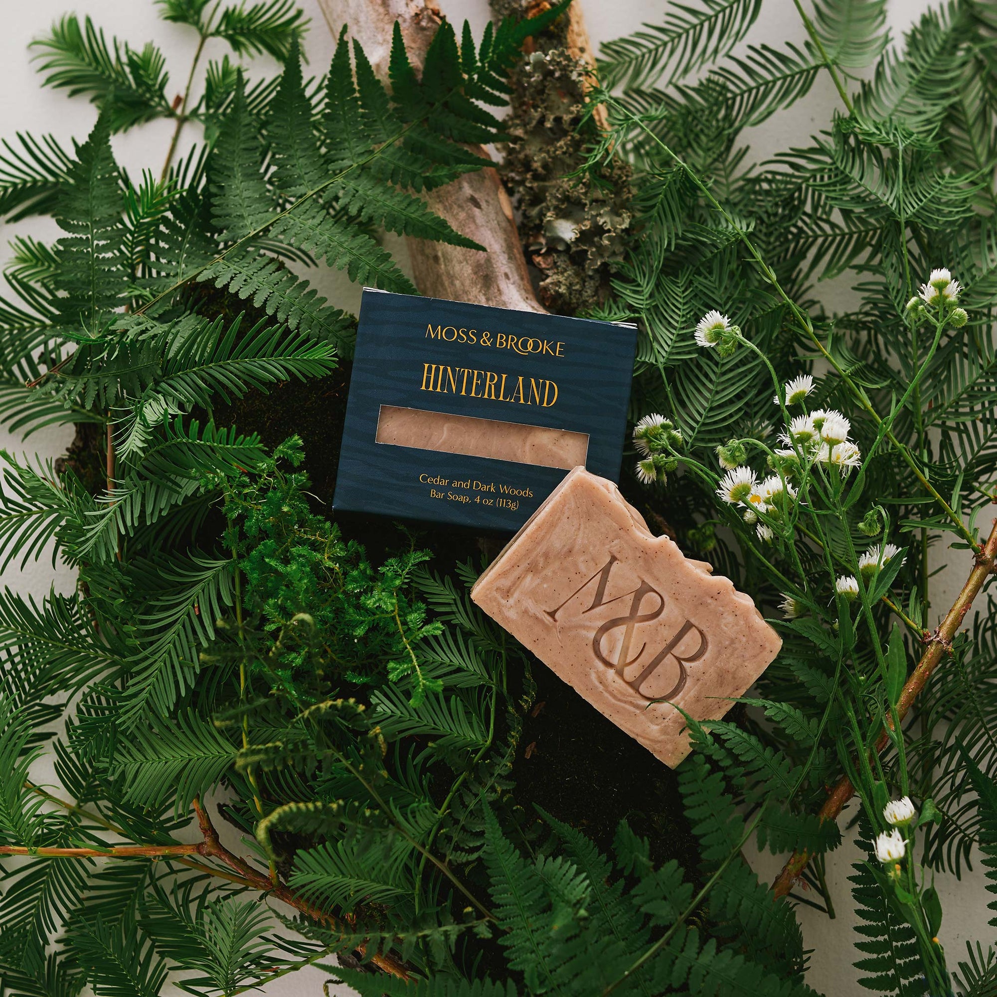 Image of Moss and Brooke Hinterland bar soap sitting on bed of greenery and ferns in a forest background. Goat milk exfoliating bar soap in a teal tree bark texture box with metallic gold text.