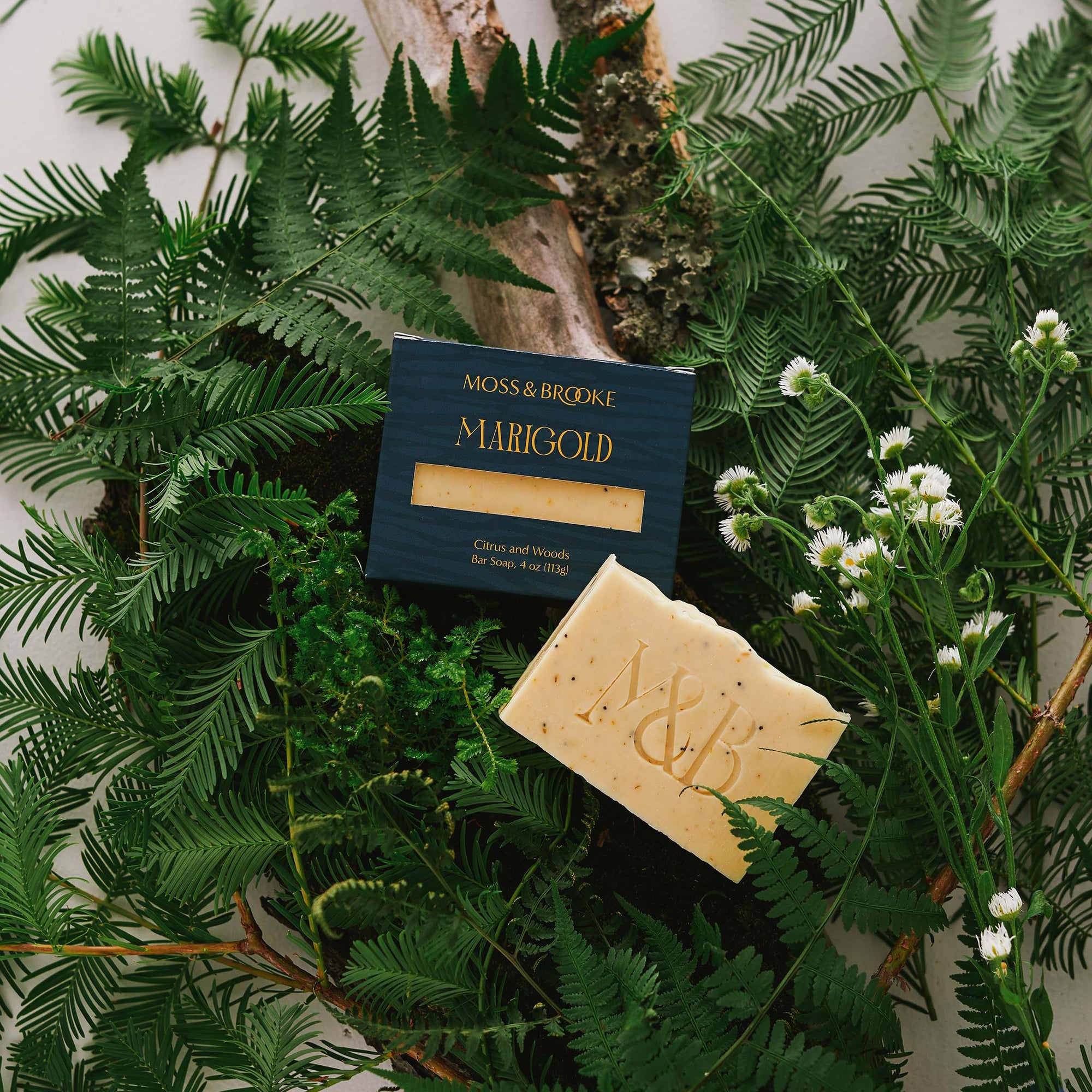 Moss and Brooke Marigold bar soap pictured on bed of forest greens and ferns. Soft yellow bar soap with flecks calendula petals and poppy seeds packaged in a dark teal luxurious box with metallic gold lettering.