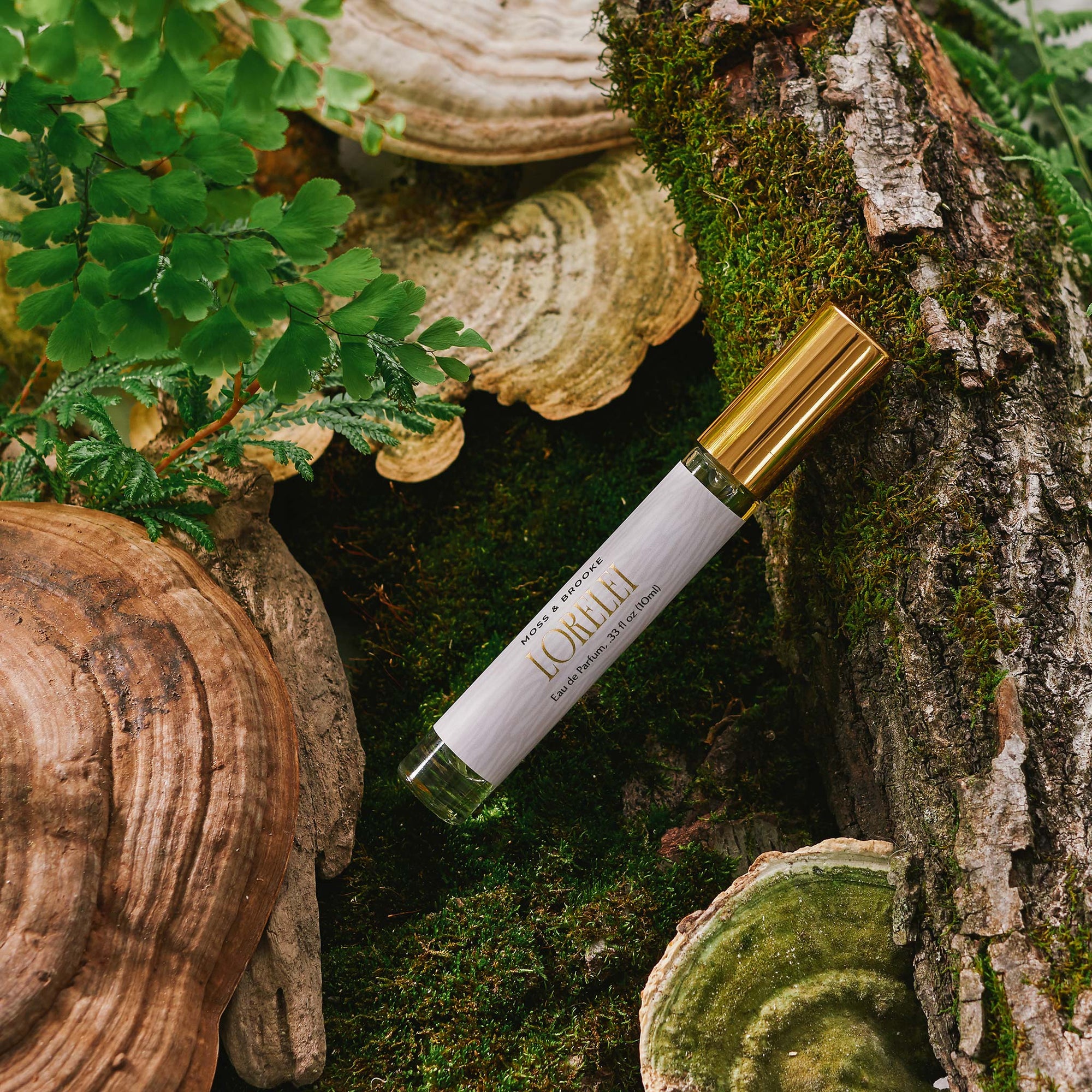 Bottle of Moss & Brooke Lorelei Perfume on a background of moss, wood and mushrooms. Packaged in a clear bottle with gold cap and luxurious gold foiled labeling, with scents of grapefruit, jasmine, coconut, sandalwood and vanilla.